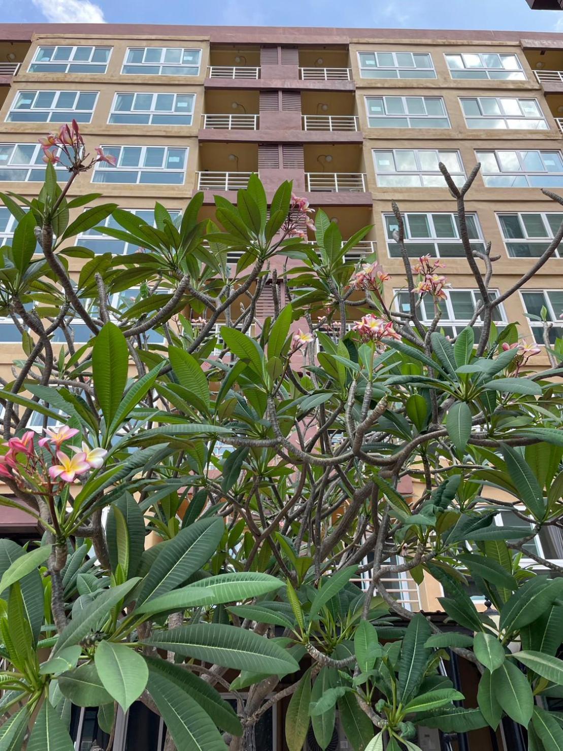 H2Do Hotel Ban Khlong Sanam Phli Zewnętrze zdjęcie